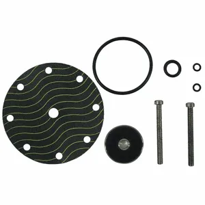 WATTS CP16RK Pilot Rebuild Kit | CJ2ZXD 6AKX2