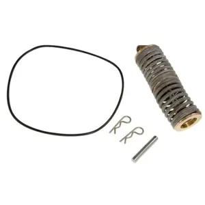 WATTS FRK 880V CK1 10 First Spring Check Kit, 10 Inch Size | BZ8DRC 905176