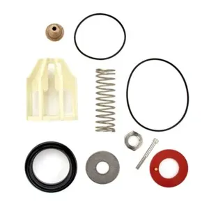 WATTS FRK 857-CK2 Second Check Kit, Double Check Valve Assembly, 2 1/2 And 3 Inch Size | CC7PUQ 0710501