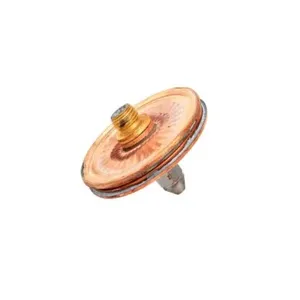 WATTS ISPTMSTD1A-2G-3G-RK Diaphragm | BY7ZGY 0036854