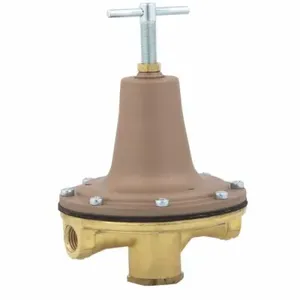 WATTS LF215M1 0-20 3/8 Pressure Regulator, Female Thread, 3/8 Inch Size, Brass | BP3MHW 0009841