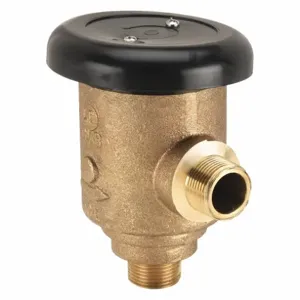 WATTS LF289-3/4 Atmospheric Vacuum Breaker, Male Thread, NPT, Size 3/4 Inch, Brass | AF9FCV 29YL84