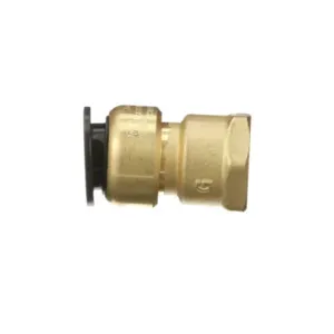 WATTS LF4710-1012 Female Connector, 1/2 Inch Inlet, 13.8 Bar Pressure | BQ3UUG 0472006