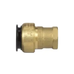 WATTS LF4710-1408 Female Connector, 3/4 Inch Inlet, 13.8 Bar Pressure | BR4GRX 0472062