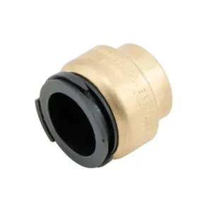 WATTS LF4745-10 End Stop, 1/2 Inch Inlet, 13.8 Bar Max. Pressure | BR4GRD 0472044