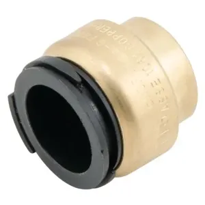 WATTS LF4745-14 End Stop, 3/4 Inch Inlet, 13.8 Bar Max. Pressure | BR4GRH 0472045