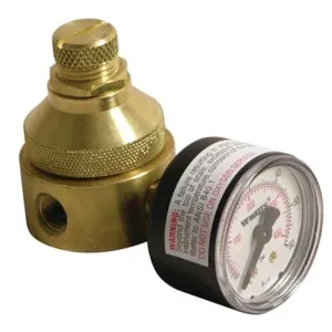 WATTS LF560G-0-125 1/8 Mini Water Pressure Regulator, 0 To 125 Psi, 1/4 Inch Inlet, Brass | BP3LKQ 0009843