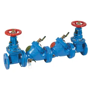 WATTS LF709-OSY 2 1/2 Double Check Valve Assembly, Outside Stem And Yoke Gate Valve, 2 1/2 Inch Size | CB9LRC 0122785