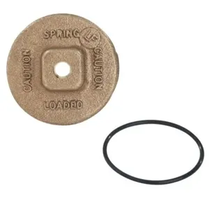 WATTS LFARK 400B-C 1 Cover Kit, 1 Inch Size | CB8HBH 0425501