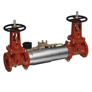 WATTS M300-OSY-GPM 2 1/2 Double Check Detector Backflow Preventer Assembly, 2 1/2 Inch Size, SS | CC8HGL 0191038