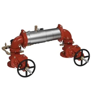 WATTS M300N-OSY-CFM 2 1/2 Double Check Detector Backflow Preventer Assembly, 2 1/2 Inch Size, SS | CC8HGN 0191044