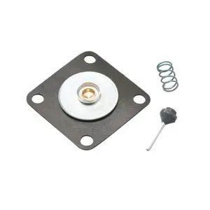 WATTS LFRK 26A Pressure 2-Way Regulator Repair Kit | CB7BYE 0125361