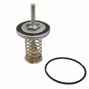 WATTS LFRK 709-CK4 2 1/2-3 Fourth Check Repair Kit, 2 1/2 To 3 Inch Double Cheek Valve Assembly | CC2KEG 0794014