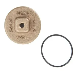 WATTS LFRK 719C 1 Double Check Valve Assembly Check Repair Kit, 1 Inch Size | CC2KFB 0794041