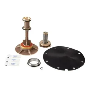 WATTS LFRK 909-VT 4-6 Backflow Repair Kit, Total Relief Valve, 4 To 6 Inch Size | CB3JYD 0794086