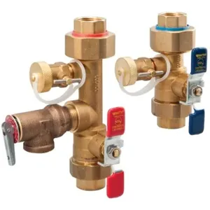 WATTS LFTWH-UT-HCN-RV 3/4 Tankless Water Heater Valve Set, Hot And Cold Water | BR8JKE 0125110