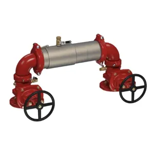 WATTS M200N-NRS 2 1/2 Double Check Valve Backflow Preventer Assembly, Shutoff Valve, 2 1/2 Inch Size, SS | CA4EGR 0191018