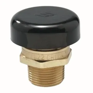 WATTS N360-Z1 Vacuum Relief Valve, 3/4 Inch Inlet, 250 Deg. F Max. Temp. | BP3RAY 0138469