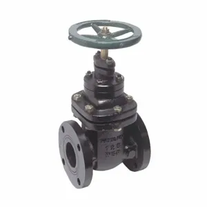 WATTS NRS-RW-Gate21/2 Gate Valve Class 200 2-1/2 Inch Flange | AB3BFQ 1RCY4