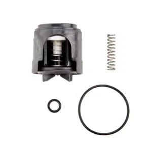 WATTS RK 289-T 3/4-1 Spill Resistant Atmospheric Vacuum Breaker Repair Kit, 3/4-1 Size | CC9TYQ 0887179