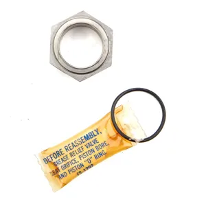 WATTS RK 34-BFP/900C-SSK Backflow Seat And Seal Repair Kit | CA6VJJ 0881245