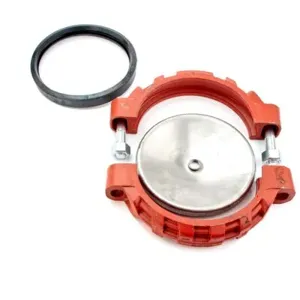 WATTS RK 774/774DCDA-C 8-12 Backflow Preventer Cover Valve Repair Kit, 8 To 12 Inch Size | BZ3VPJ 0888828