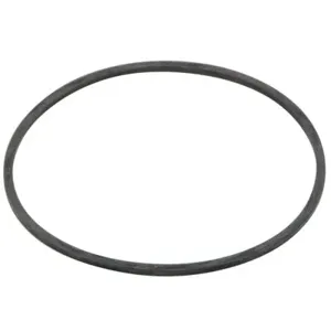 WATTS RK 777SI-GASKET 2 Gasket, Y-Strainer, 2 Inch Size | CA3EDC 0899115