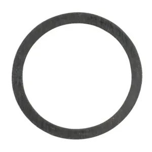 WATTS RK 777SI-GASKET 3/8 Gasket, Y-Strainer, 3/8 Inch Size | CA3ECX 0899109