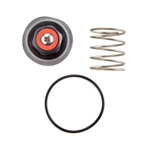 WATTS RK 919-VT 1/4-1/2 Reduced Pressure Zone Vent Total Repair Kit | CC8ERD 0888130