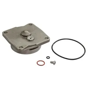 WATTS RK SS009-C 1 Backflow Cover Repair Kit, 1 Inch Size | BY4YYJ 0887502