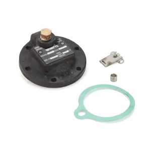 WATTS RK WIB 81-15 Inverted Bucket Steam Trap Repair Kit, 15 Psi Pressure | CB3NBZ 0376485