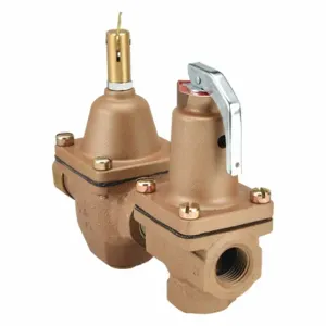 WATTS S1450F Fill And Relief Valve 1/2 Inch 30 Psi Iron | AG6RJG 46A979