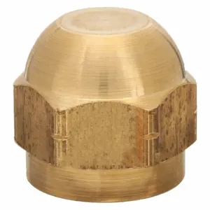 WATTS SAE-TC Brass Cap 1/8 SAE Cap 1/8 Inch Sae Use With Series Sae-tc | AE7WDU 6AUY1