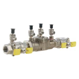 WATTS SS007M3-QT 1/2 Double Check Valve Assembly, Quarter Turn Ball Valve, 1/2 Inch Size | CA7CRM 0062695