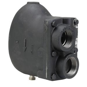 WATTS WFT-125 1 1/2 Schwimmer- und Thermostatkühler-Kondensatableiter, 1 1/2 Zoll Einlass, 125 Psi Dampfdruck | BR7WGR 0037122