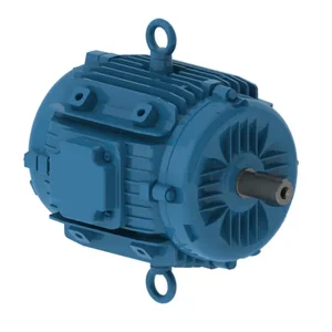 WEG 01018ET3EPM213/5Y-W2 Electric Motor, 10Hp, 60Hz, 1800 Rpm | BB9VKL