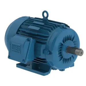 WEG 00109ET3H182T-W22 Electric Motor, 1Hp, 60Hz, 875 Rpm | BB6MDD