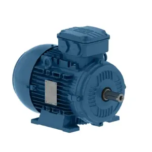 WEG 00112ET3EAL100L-W22 Electric Motor, 1.1Hp, 60/50Hz, 1200 Rpm | BC3GXF