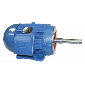 WEG 03018ET3E286JP-W22 Pump Motor, 3 Phase, 30Hp, 1765 208-230/460V, 286jp | AE8UFE 6FJZ9