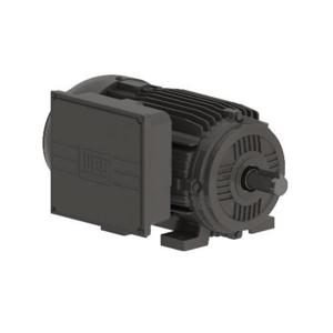 WEG UMBW-4D1-25 Electric Motor | BB7MLT