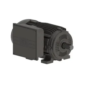 WEG 01236ES1C215T Electric Motor | BB7PNT