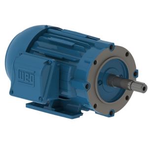 WEG 00118ET3V143JM-W22 Electric Motor, 1Hp, 60Hz, 1800 Rpm | BB8TTX