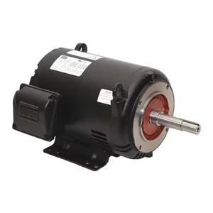 WEG 01036OT3E213JP-S Pump Motor, 10 Hp, 3530 213/5JP 12.0A | AH3QTG 33HN78