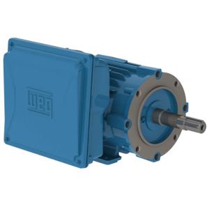 WEG 00136ES1E143JM-W22 Electric Motor, 1Hp, 60Hz, 3600 Rpm | BC3BYP