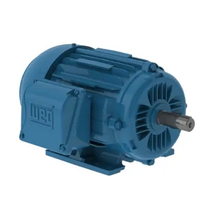 WEG 00112ET3P145T-W22 Electric Motor, 1Hp, 60Hz, 1200 Rpm | BB8GTE