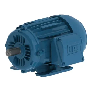 WEG 00158ET3W90L-W22 Metric Motor, Shielded 460v 60 Hz Cw / Ccw | AA2GCZ 10G858