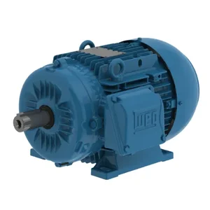 WEG 00418ET3EAL112M-W22 Electric Motor, 4Hp, 60/50Hz, 1800 Rpm | BC3HHX