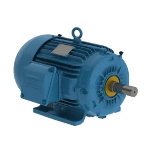 WEG 00209ST3QIE213T-W22 Electric Motor, 2Hp, 60Hz, 870 Rpm | BB7AZJ