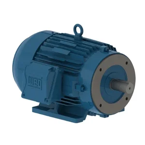 WEG 01018ET3EID215TC-W22 Electric Motor, 10Hp, 60Hz, 1800 Rpm | BB7WRW