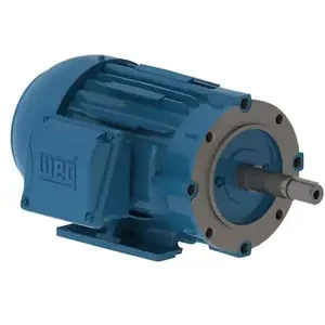 WEG 00218ET3H145JM-W22 Electric Motor, 2Hp, 60Hz, 1750 Rpm | BB9AFJ